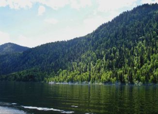 Продам земельный участок, 300 сот., село Артыбаш