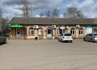 Продается торговая площадь, 92 м2, село Айкино, Центральная улица, 124А