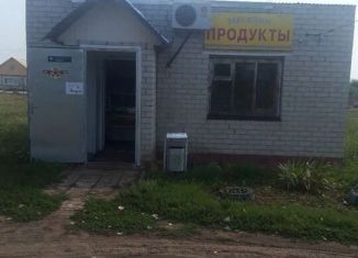 Продаю торговую площадь, 33 м2, село Пушкарное, улица Борисово, 1А