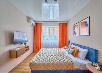 Сдается 1-ком. квартира, 41 м2, Краснодар, Восточно-Кругликовская улица, 28/2, Прикубанский округ