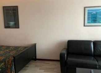 1-ком. квартира в аренду, 31 м2, Санкт-Петербург, улица Карбышева, 4к1, Выборгский район