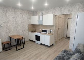 Сдаю квартиру студию, 25 м2, Оренбург, улица Юркина