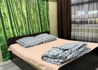Сдача в аренду 1-ком. квартиры, 42 м2, Астрахань, улица Софьи Перовской, Кировский район