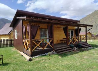 Сдача в аренду дома, 20 м2, Республика Алтай, Полевая улица, 11