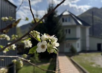 Аренда дома, 18 м2, Республика Алтай, Набережная улица, 15А