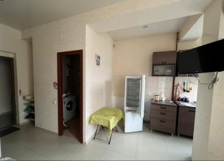 Продам квартиру студию, 19.7 м2, Сочи, Орбитовская улица, 20/7Б, микрорайон Энергетик-Изумруд