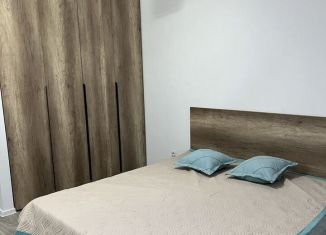 Сдача в аренду 1-ком. квартиры, 42 м2, Краснодар, Таманская улица, 153к6, микрорайон Черемушки