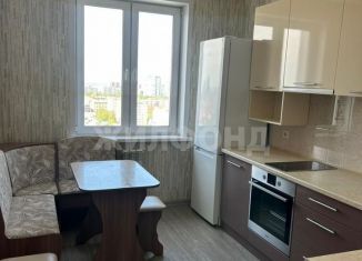 Сдается 1-комнатная квартира, 44 м2, Новосибирск, улица Гоголя, 26, Центральный район
