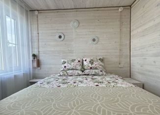 Дом на продажу, 250 м2, село Дивеево, улица Клочнева, 3