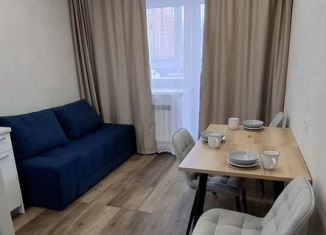 Сдается однокомнатная квартира, 40 м2, Благовещенск, улица 50 лет Октября, 50