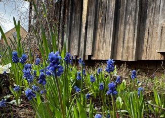 Продаю дачу, 54 м2, Удмуртия, Грушевая улица