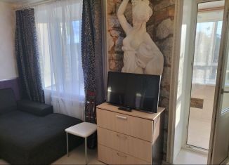 Сдам квартиру студию, 28 м2, Бор, улица Степана Разина, 24