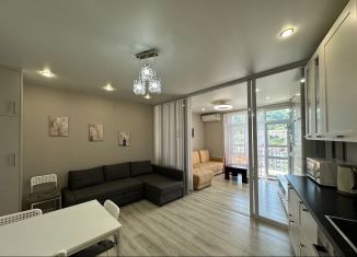 Сдача в аренду квартиры студии, 40 м2, посёлок городского типа Дагомыс, улица Гайдара, 22, ЖК Босфор