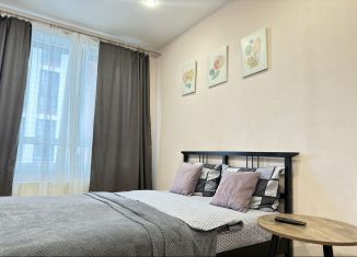 Сдаю однокомнатную квартиру, 39 м2, Республика Башкортостан, улица Рудольфа Нуреева, 6