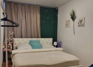Сдается комната, 10 м2, Санкт-Петербург, Казанская улица, 42, метро Сенная площадь