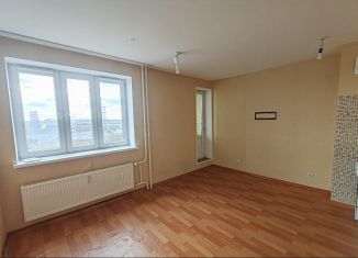 Продам квартиру студию, 25 м2, посёлок Парголово, Толубеевский проезд, 26к1