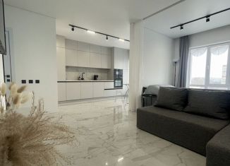 Аренда квартиры студии, 45 м2, Тольятти, проспект Степана Разина, 16В