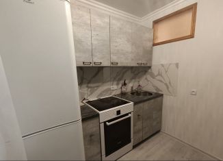 Сдаю в аренду 1-ком. квартиру, 31 м2, Новосибирск, Каменская улица, 80, Центральный район