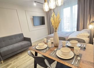 Квартира в аренду студия, 32 м2, Сочи, улица Искры, 88к6