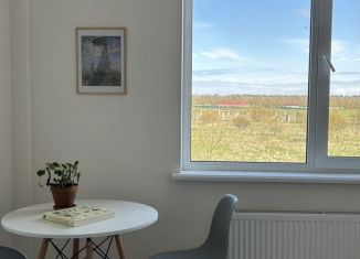 Квартира на продажу студия, 22.4 м2, Всеволожск, Степной проспект, 16к4
