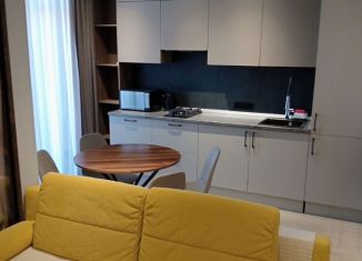 Сдаю в аренду 1-ком. квартиру, 40 м2, Сочи, улица Павлика Морозова, 24, микрорайон Центральный