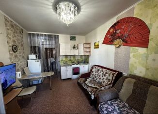 Сдаю квартиру студию, 30 м2, Новосибирск, Плановая улица, 50, Заельцовский район