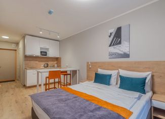 Сдаю квартиру студию, 25 м2, посёлок Парголово, Толубеевский проезд, 8к2
