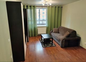 Сдам квартиру студию, 27 м2, посёлок Металлострой, Полевая улица, 9