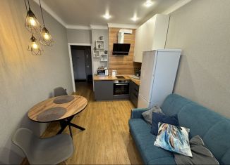 Продается 1-комнатная квартира, 41 м2, Краснодар, улица имени Героя Георгия Бочарникова, 12, микрорайон Губернский