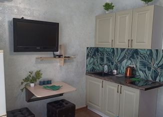 Сдается квартира студия, 19 м2, Сочи, улица Ленина, 219/31Б, микрорайон Курортный Городок