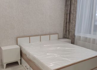 Продам однокомнатную квартиру, 34.5 м2, Санкт-Петербург, Студенческая улица, 14к1, метро Пионерская