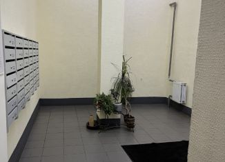 Продаю квартиру студию, 24.7 м2, Санкт-Петербург, Бухарестская улица, 96, Фрунзенский район