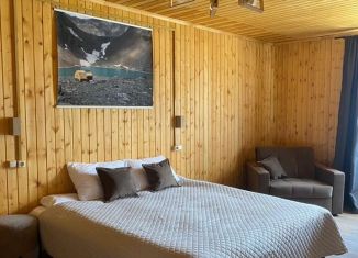 Сдается дом, 30 м2, Республика Алтай, Садовая улица, 31