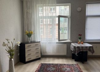 Продаю квартиру студию, 26 м2, Ленинградская область, Тихвинская улица, 8к1