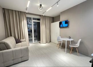 Сдается квартира студия, 32 м2, Новосибирск, Красный проспект, 167/3, Заельцовский район