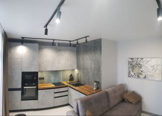 Сдача в аренду двухкомнатной квартиры, 48 м2, Сочи, переулок Трунова, 6, микрорайон Завокзальный