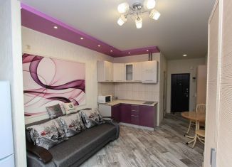 Сдается квартира студия, 25 м2, Краснодар, Восточно-Кругликовская улица, 42/3к1, микрорайон Панорама