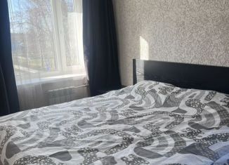 Сдается 1-ком. квартира, 40 м2, Карелия, Карельская улица, 28