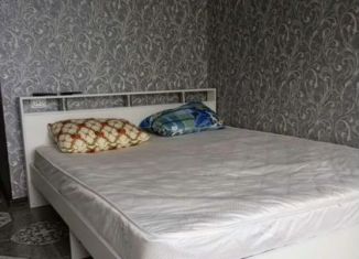 Сдача в аренду квартиры студии, 20 м2, село Раздольное, Изобильная улица, 30В/3