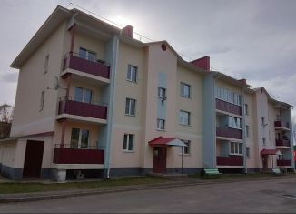 Продаю 1-ком. квартиру, 33.3 м2, деревня Раздолье, Центральная улица, 29