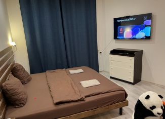Аренда квартиры студии, 27 м2, Нижегородская область, улица Маршала Баграмяна, 2