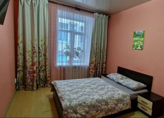 Квартира в аренду студия, 20 м2, Санкт-Петербург, улица Восстания, 53, Центральный район