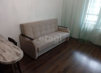 Сдается в аренду квартира студия, 24 м2, Санкт-Петербург, проспект Ветеранов, 171к5, Красносельский район