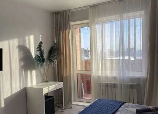 Сдаю в аренду квартиру студию, 30 м2, Новосибирская область, улица Кирова, 242