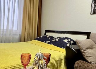 Сдается в аренду 1-комнатная квартира, 35 м2, Воронеж, ЖК Россия - Пять столиц, улица Загоровского, 1