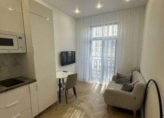 Аренда 1-ком. квартиры, 41 м2, Санкт-Петербург, Благодатная улица, 50, Московский район