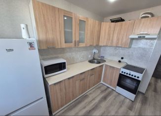 Сдается 1-комнатная квартира, 34 м2, Тобольск, 15-й микрорайон, 42