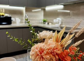 Сдам в аренду 1-комнатную квартиру, 55 м2, Республика Башкортостан, улица Пархоменко, 156В