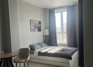 Квартира в аренду студия, 25 м2, Нижний Новгород, Гордеевская улица, 107