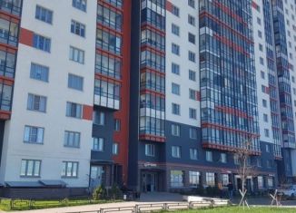 Аренда однокомнатной квартиры, 36 м2, Санкт-Петербург, улица Маршала Казакова, 82к1, Красносельский район